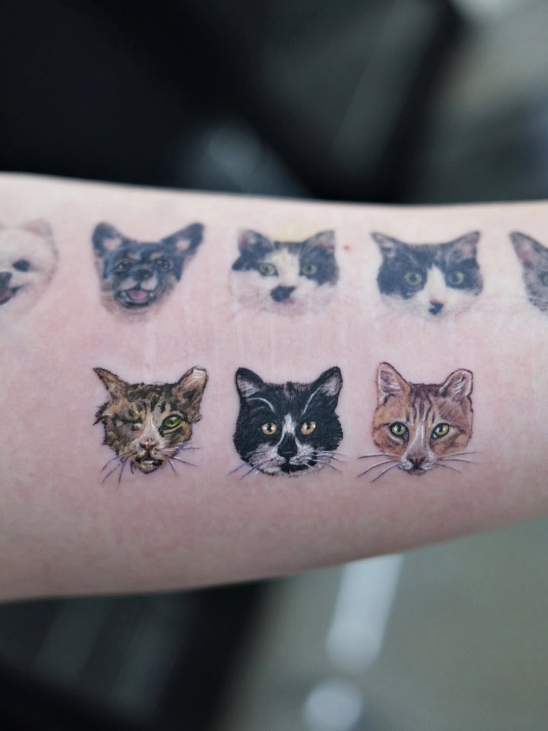 tattooist_yammy