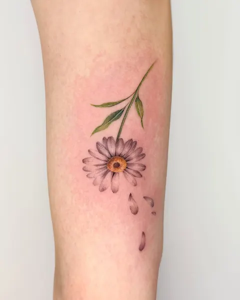 Flower, 국화, 데이지, 민들레