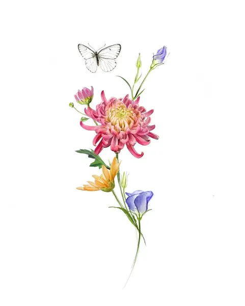 Flower, Nature