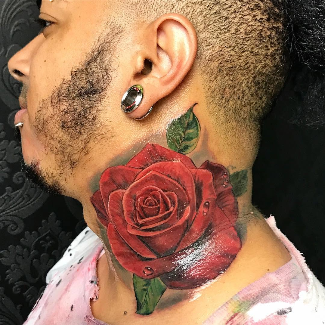 Flower, Rose, Nature
