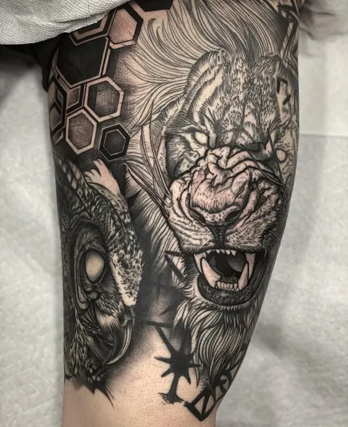 Tiger