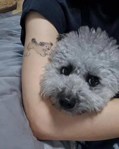 Mini, Animal