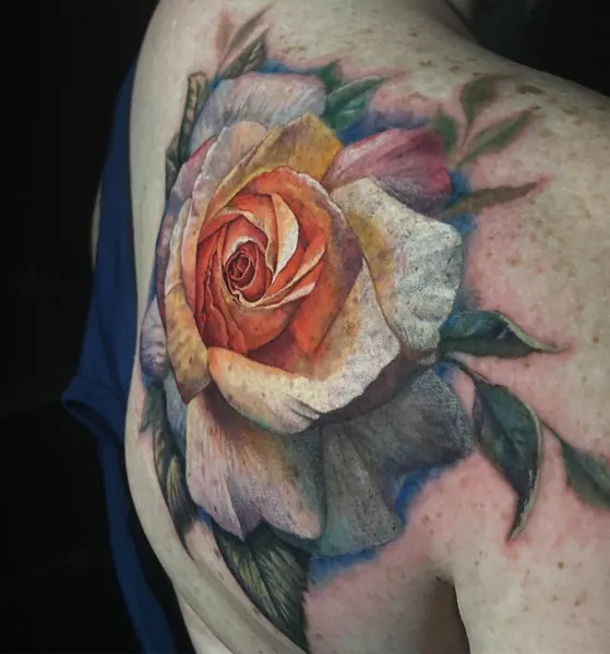 Flower, Rose, Nature