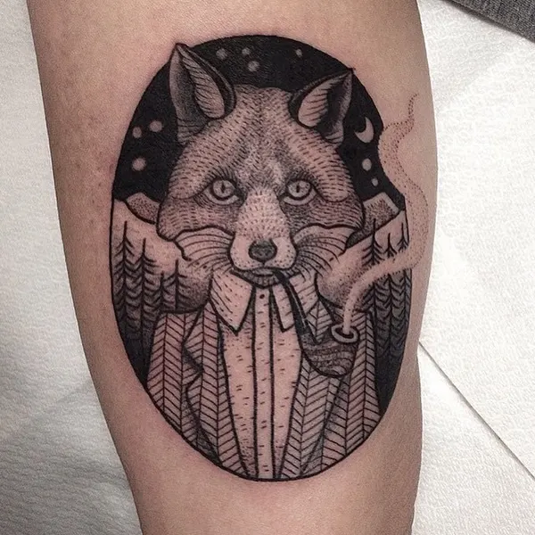 Animal, 여우, 너구리