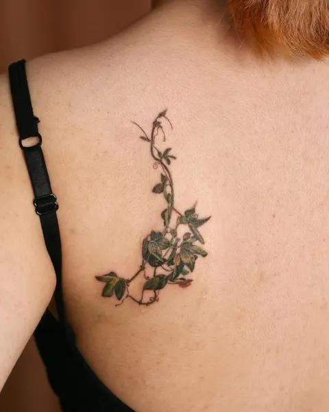 Flower, Nature, Rose