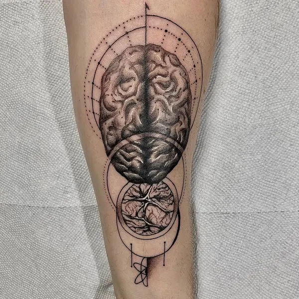 Snake, Animal