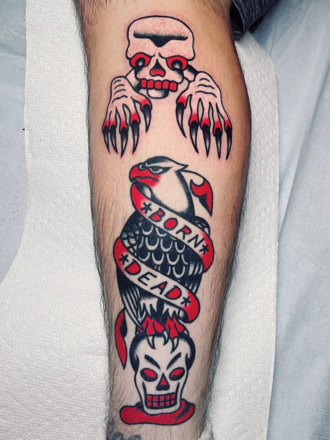 darius_cappelli