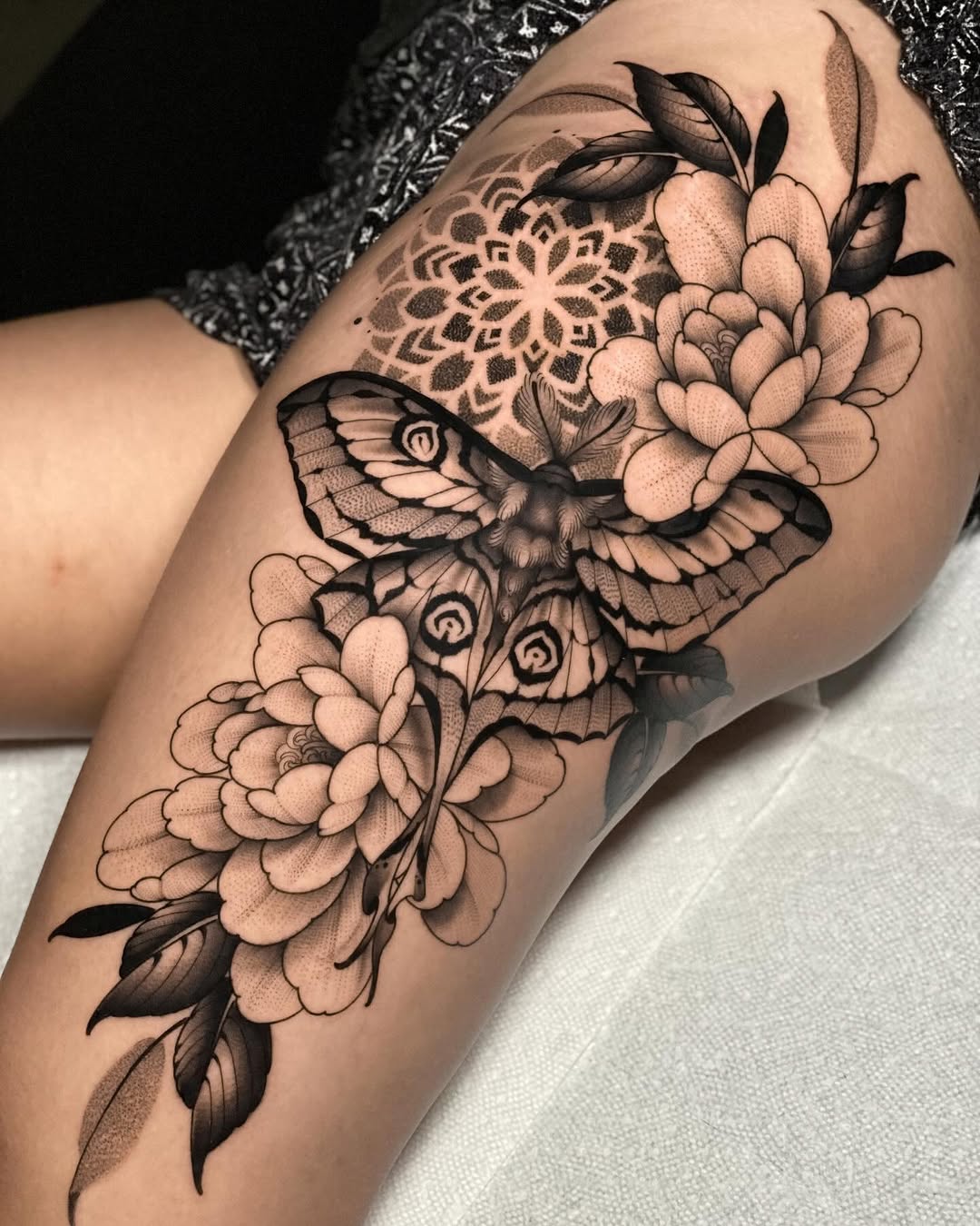 Animal, Nature, Flower