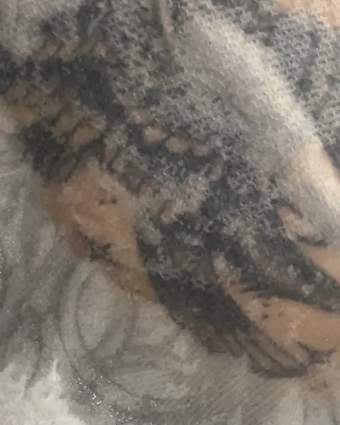 페가수스