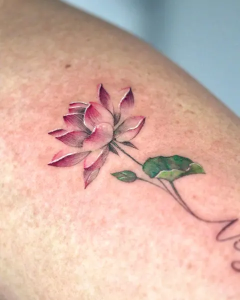 Flower, 매화, 목련, 벚꽃