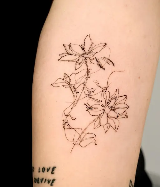 Flower, Rose