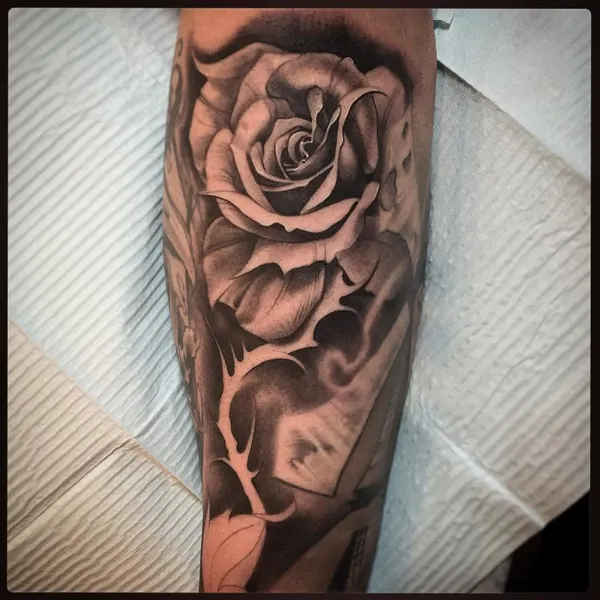 Flower, Rose
