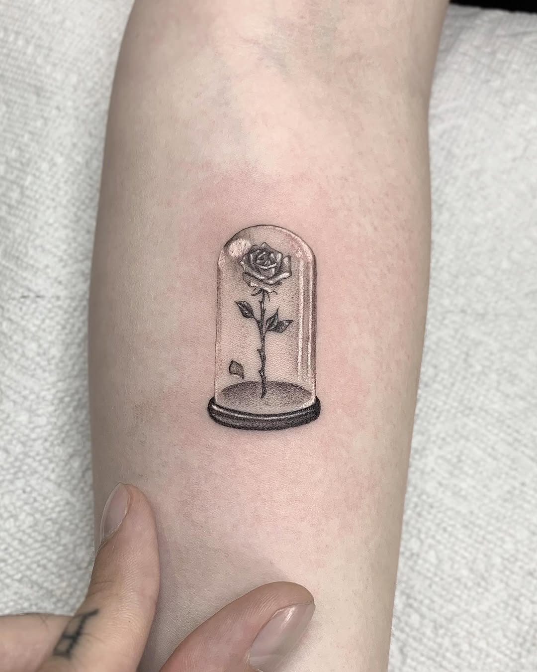 Flower, 바늘, 촛불, 향수, 라이터, 와인잔, 모래시계