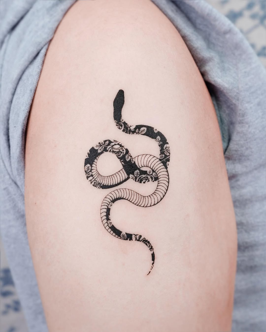 Dragon, Snake