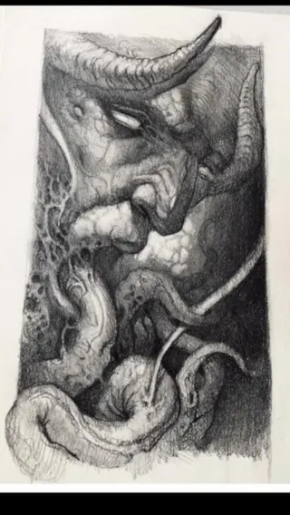Animal