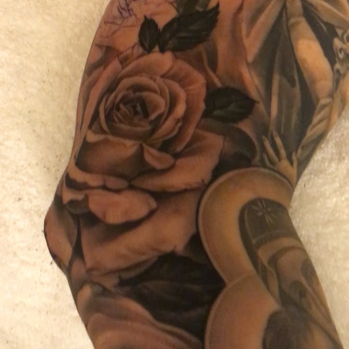 Flower, Rose