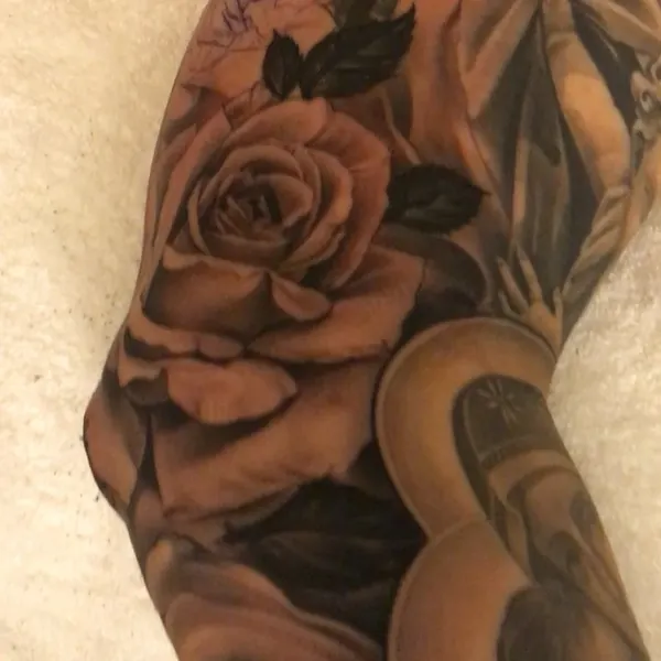 Flower, Rose