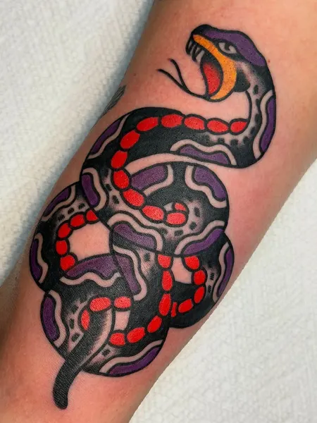 Dragon, Snake