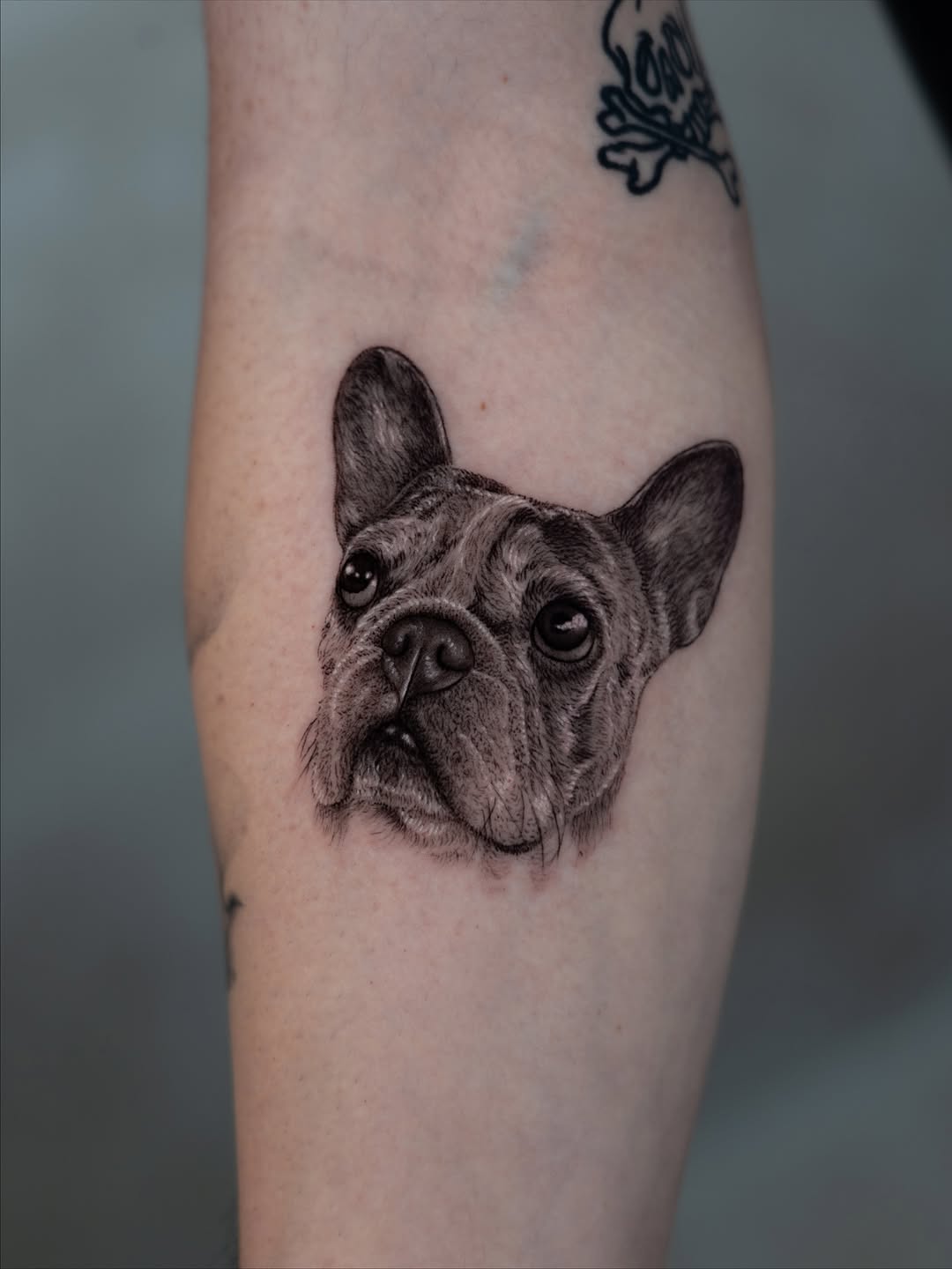 lewis.tattoo