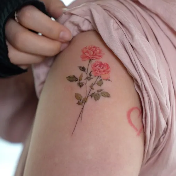 Flower, Rose