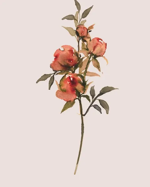 Flower, Rose