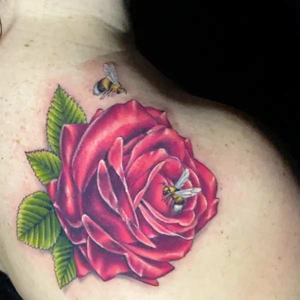 Flower, Rose, Nature