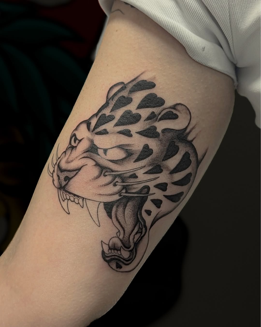 Tiger, 뇌