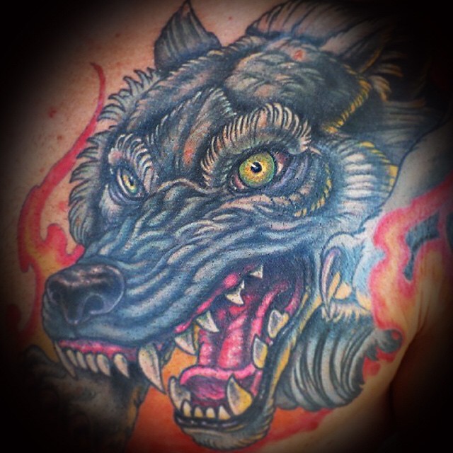 Tiger, Animal