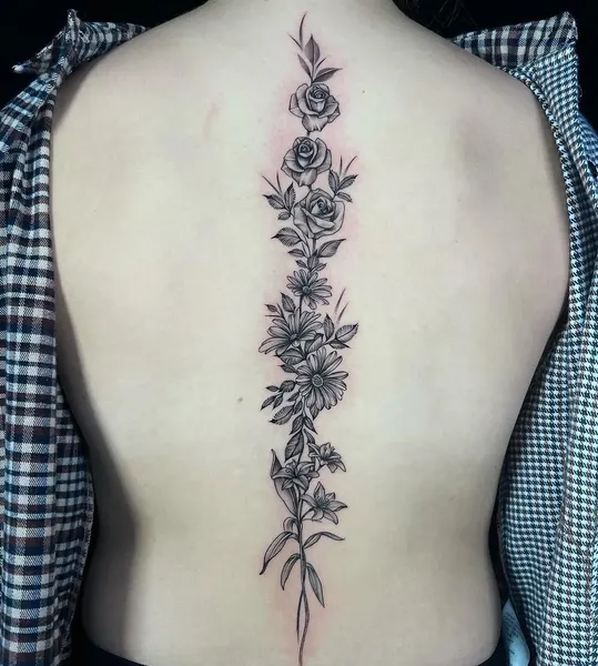 Flower, Nature, Rose, 고사리