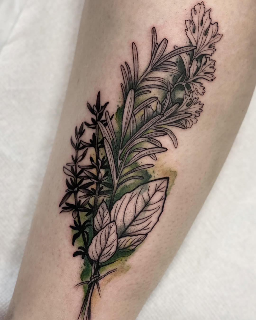 Flower, 허브, 고사리