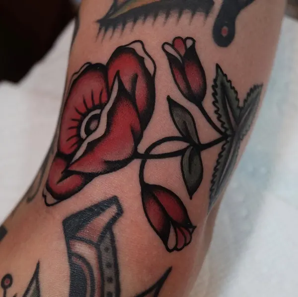 Flower, Rose
