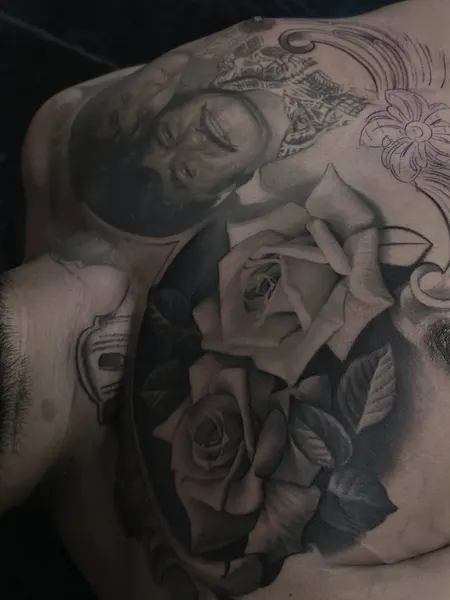 Flower, Rose, Nature