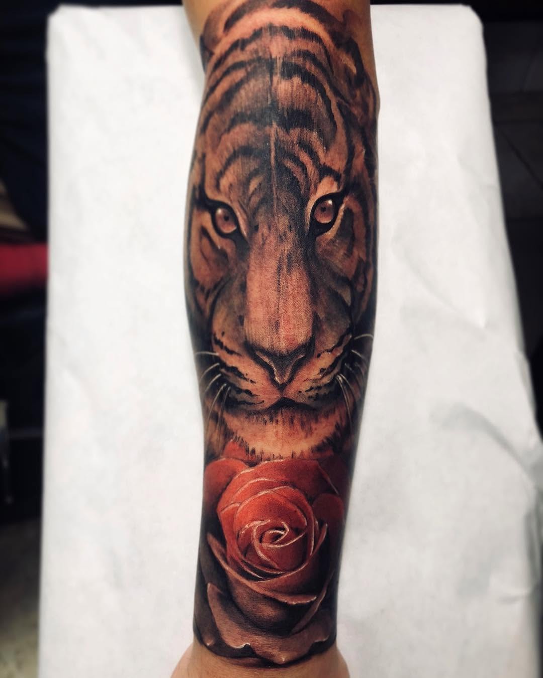 Tiger