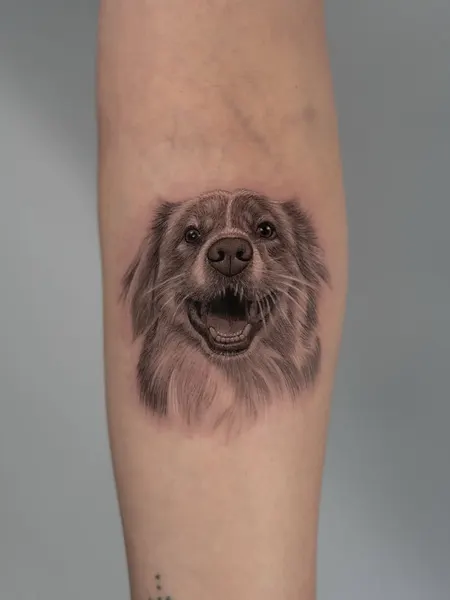 Animal, 강아지