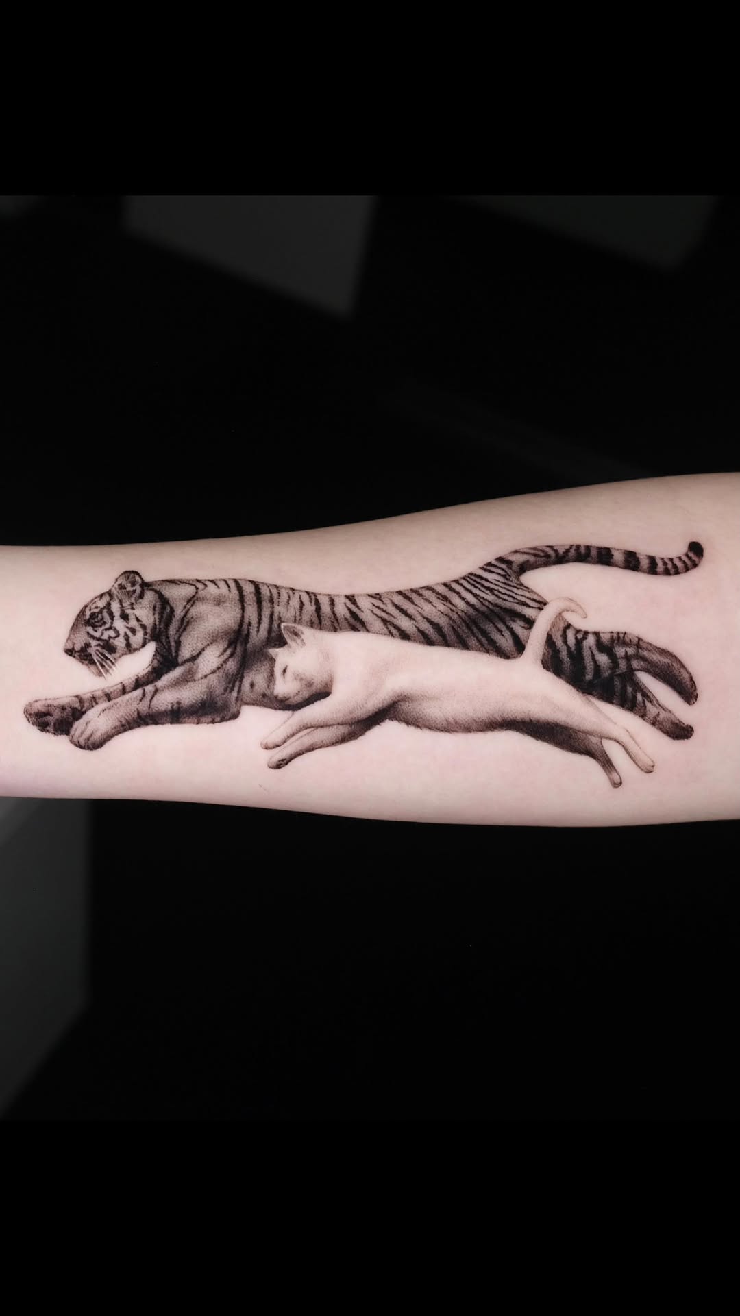 Tiger, 치타, 중국 호랑이