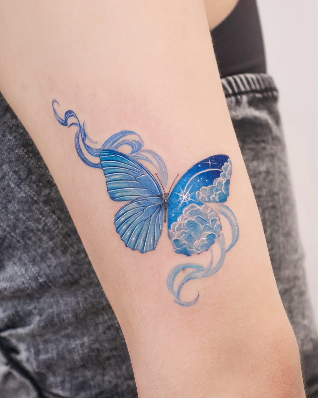 Animal, Nature, 요정, 잠자리