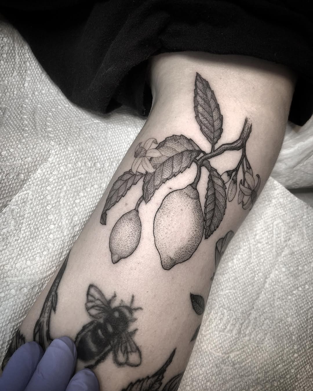 Flower, Rose, 포도, 레몬, 올리브 가지