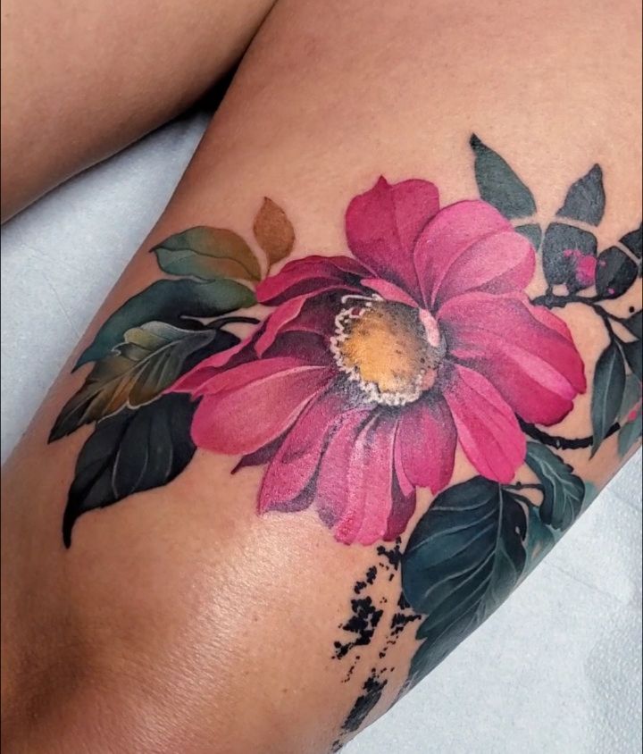 Flower, Rose