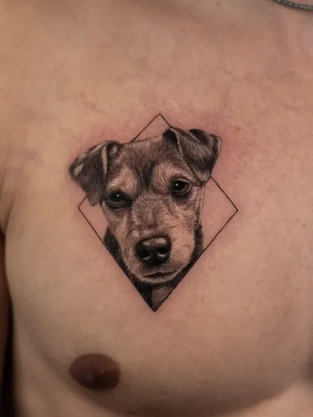 Animal