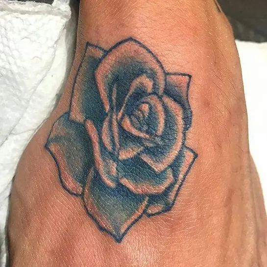 Flower, Rose