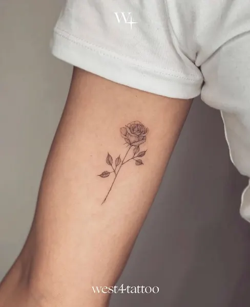 Flower, Rose