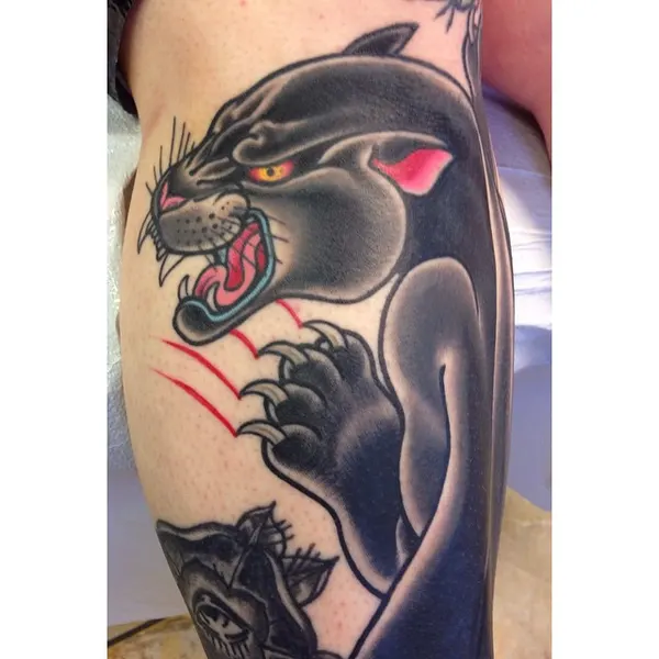 Tiger, Animal