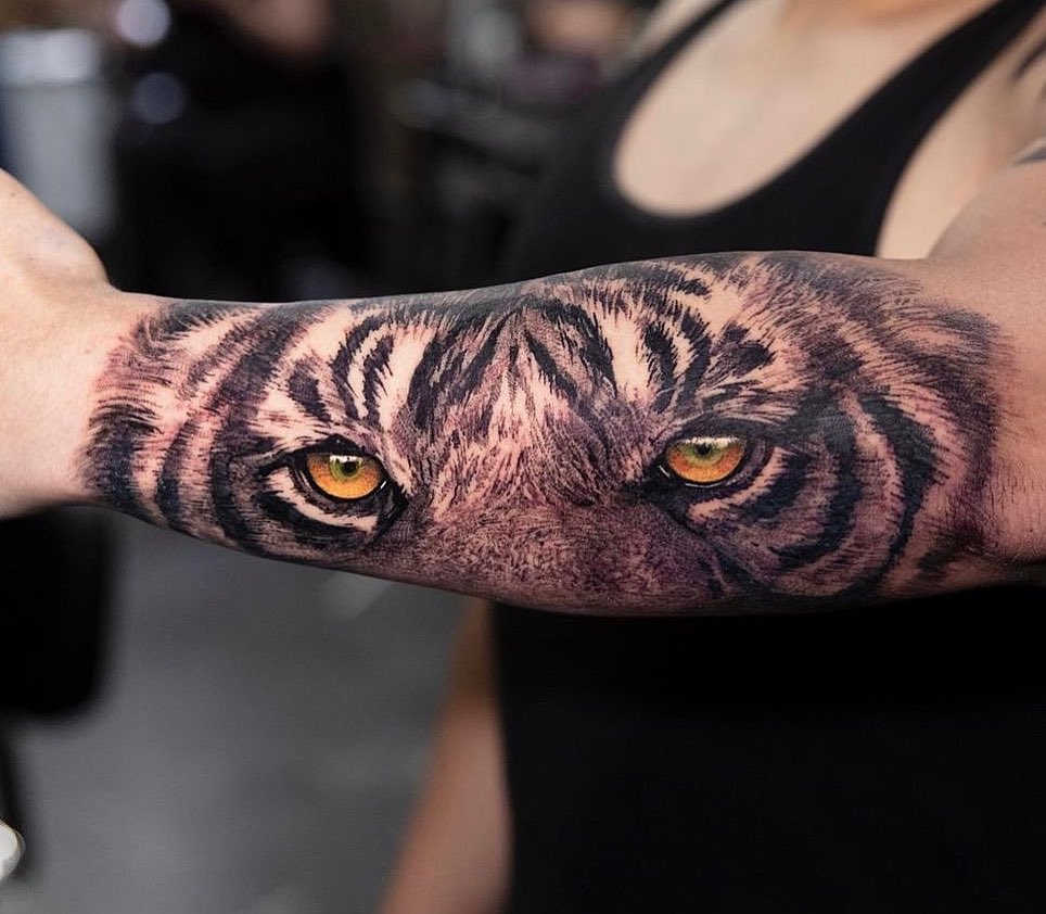 Tiger, 일본 호랑이, 중국 호랑이, 치타