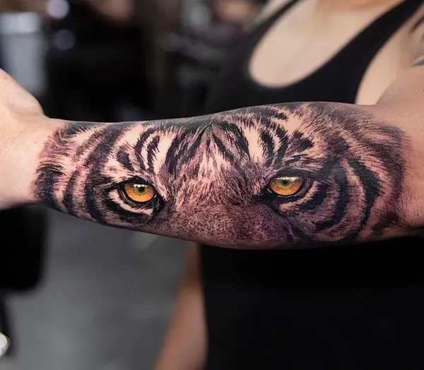 Tiger, 일본 호랑이, 중국 호랑이, 치타