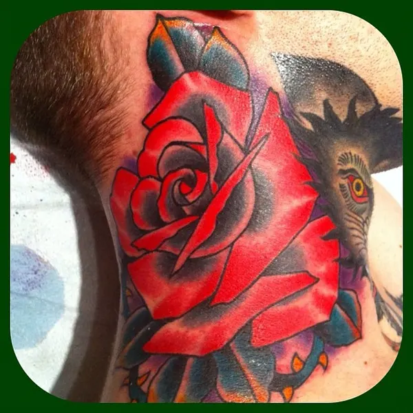 Flower, Rose, Nature