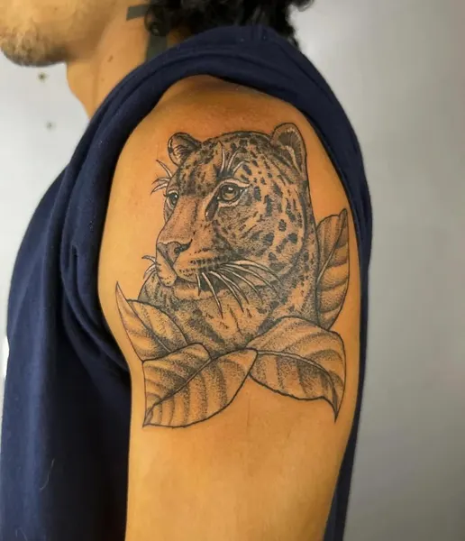 Animal