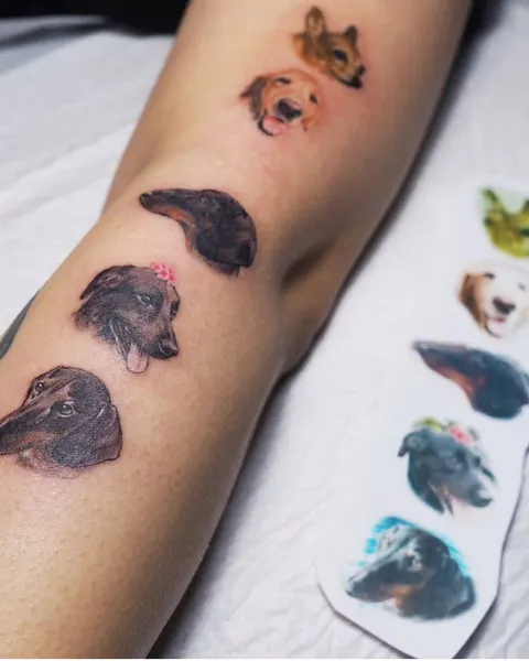 Animal, 반려동물 추모