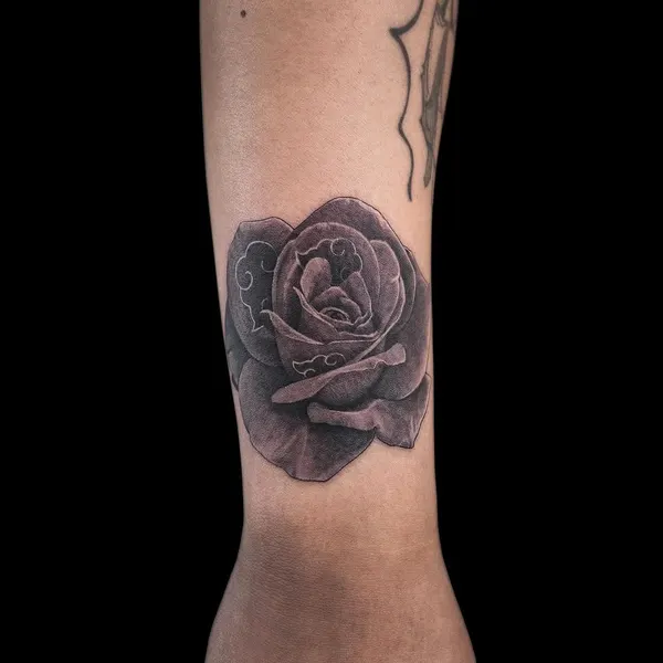 Flower, Rose
