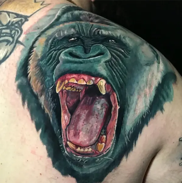 Animal, Tiger, 고릴라
