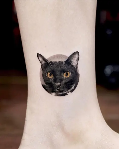 여우 가면, 고양이